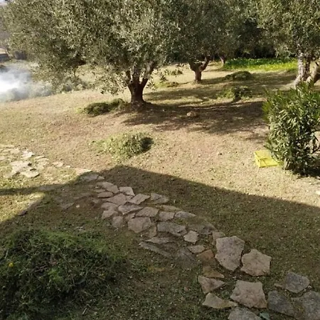 Country house Vista Mare E Templi *